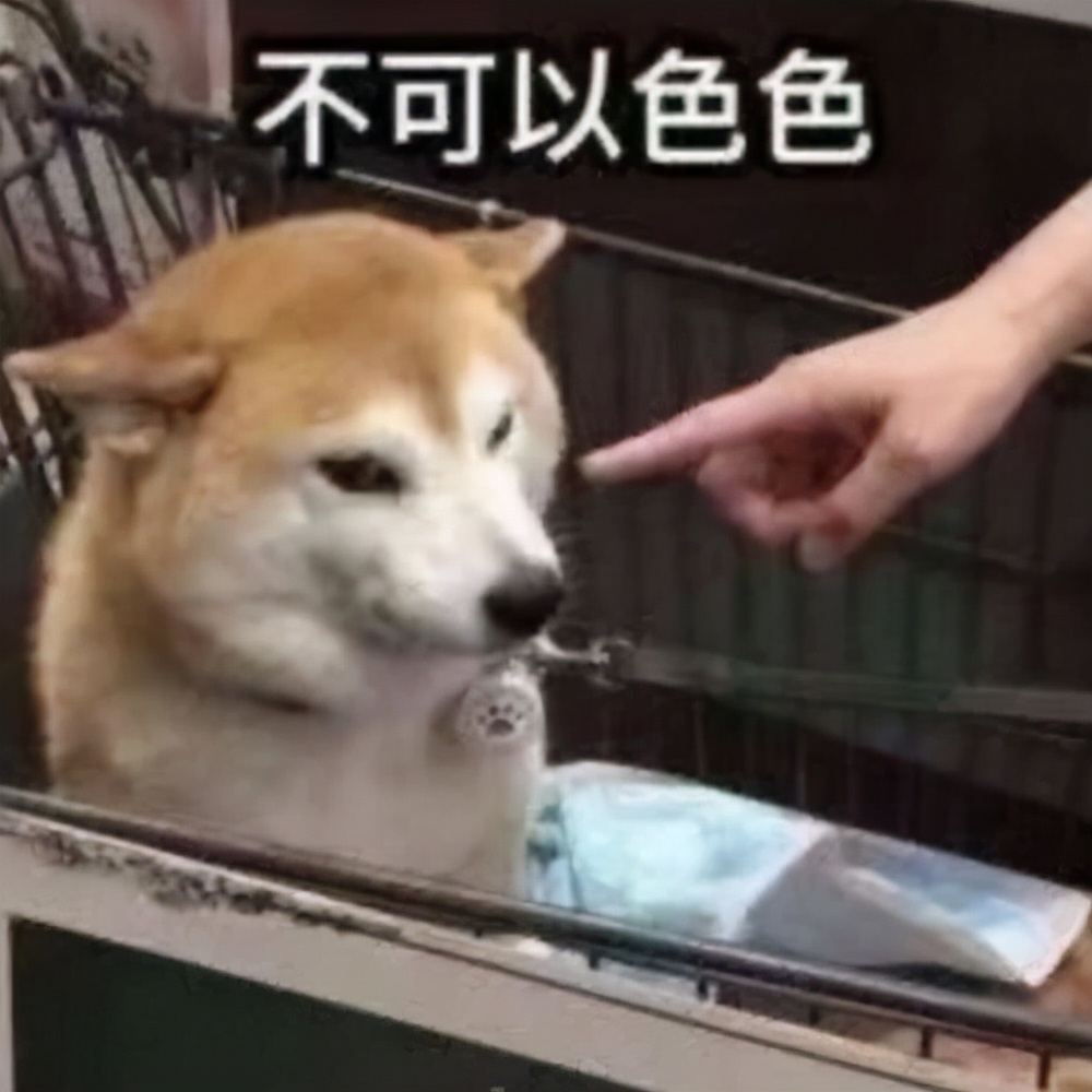 doge在聊天中什么意思(你的群聊“可以色色”吗？)