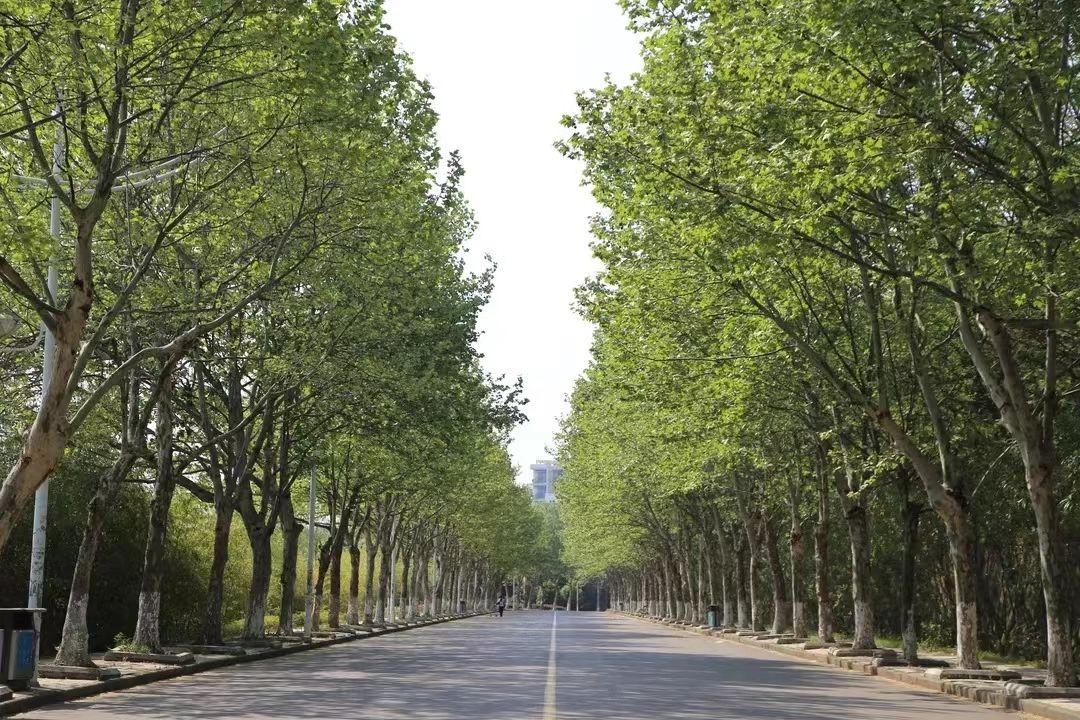 江苏省将全面提升这一经济发展！未来，这类专业人才“很吃香”