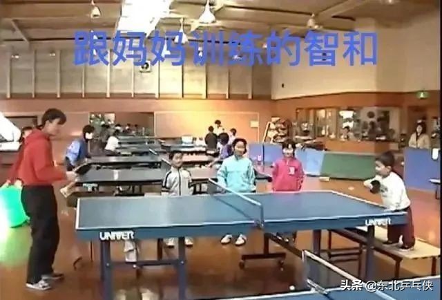 樊振东几岁学球(樊振东、张本智和一样的经历，不一样的训练、教育，最终两种结局)