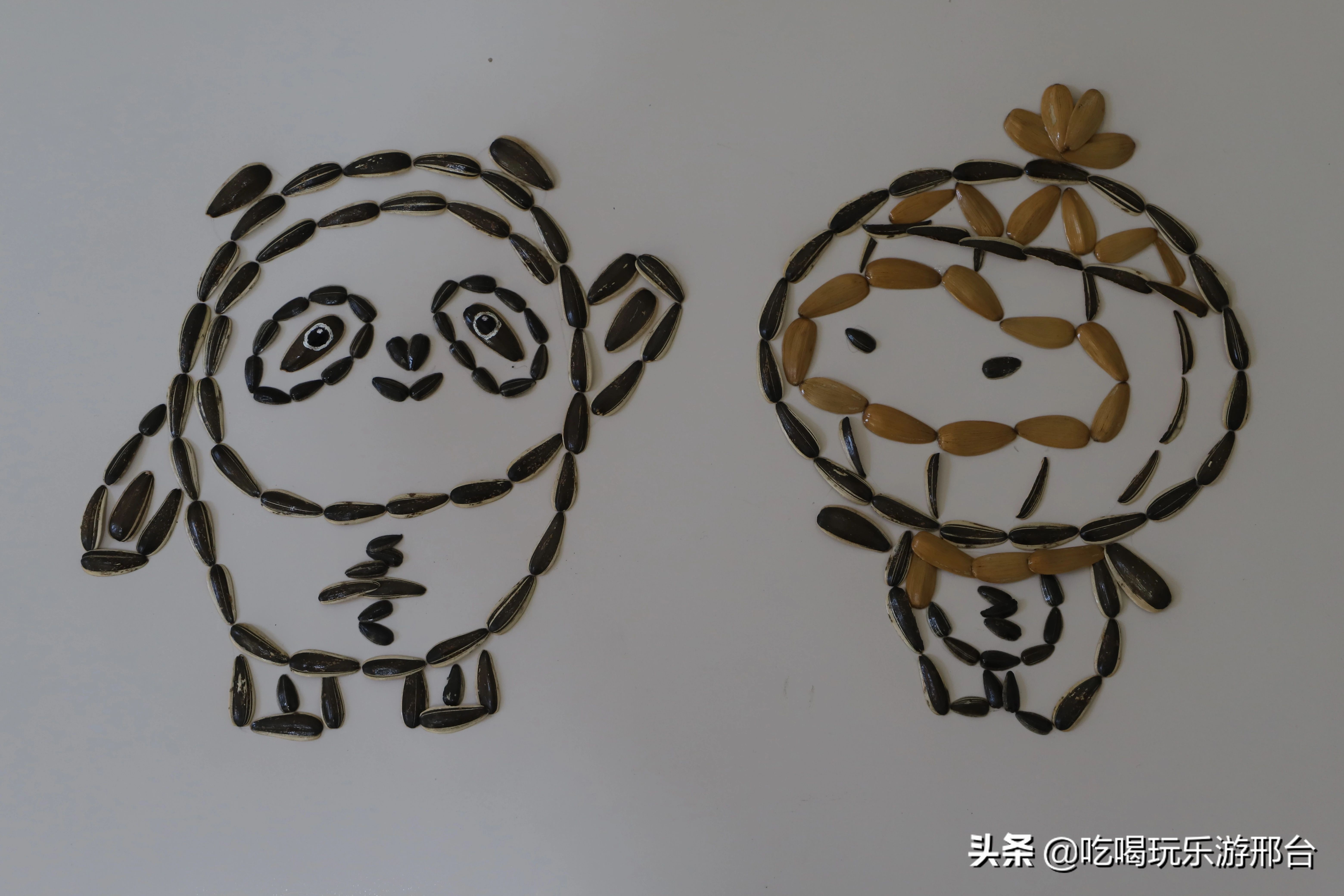 用瓜子壳做手工粘贴画(邢台南和区瓜子哥走红)