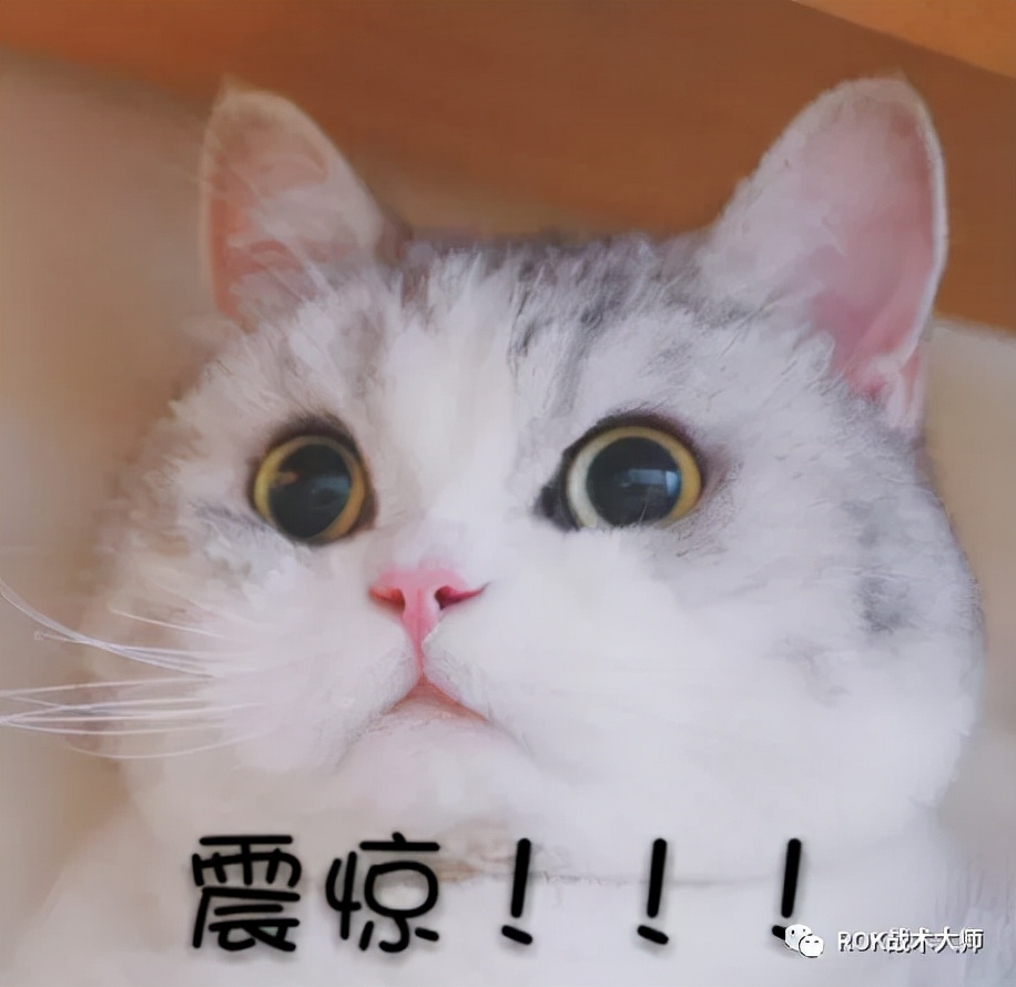 万国觉醒丨征服者威廉实测（下）