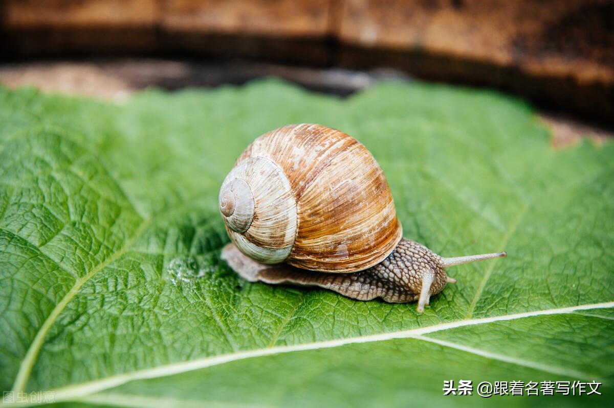 如何写好人物作文(如何能够较为出彩地写出人物特点？这篇文章告诉你)