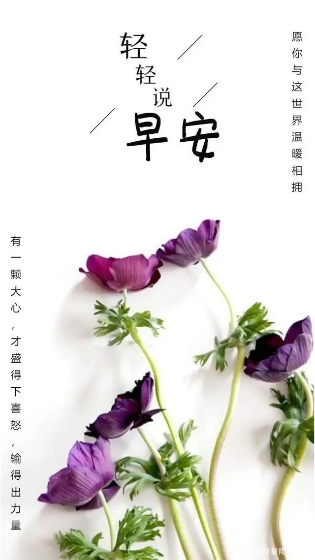 充实的一天心情短语 快乐并充实的一天句子_qq说说网