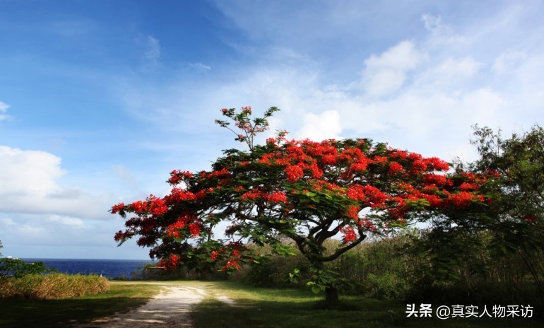 我，定居美国，19岁就忙着挣钱，当地人没钱也照样潇洒，差异真大