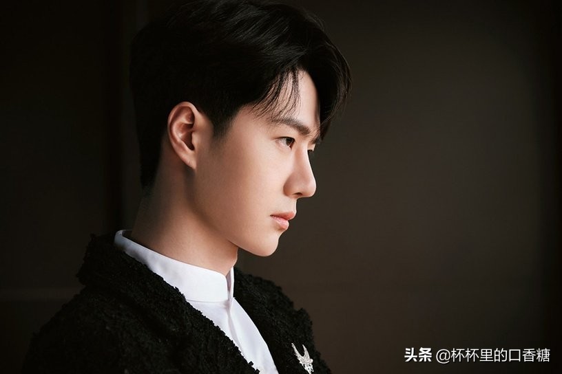 2021明星年度热搜榜！白鹿第九、杨洋第七、热巴第四，龚俊第二