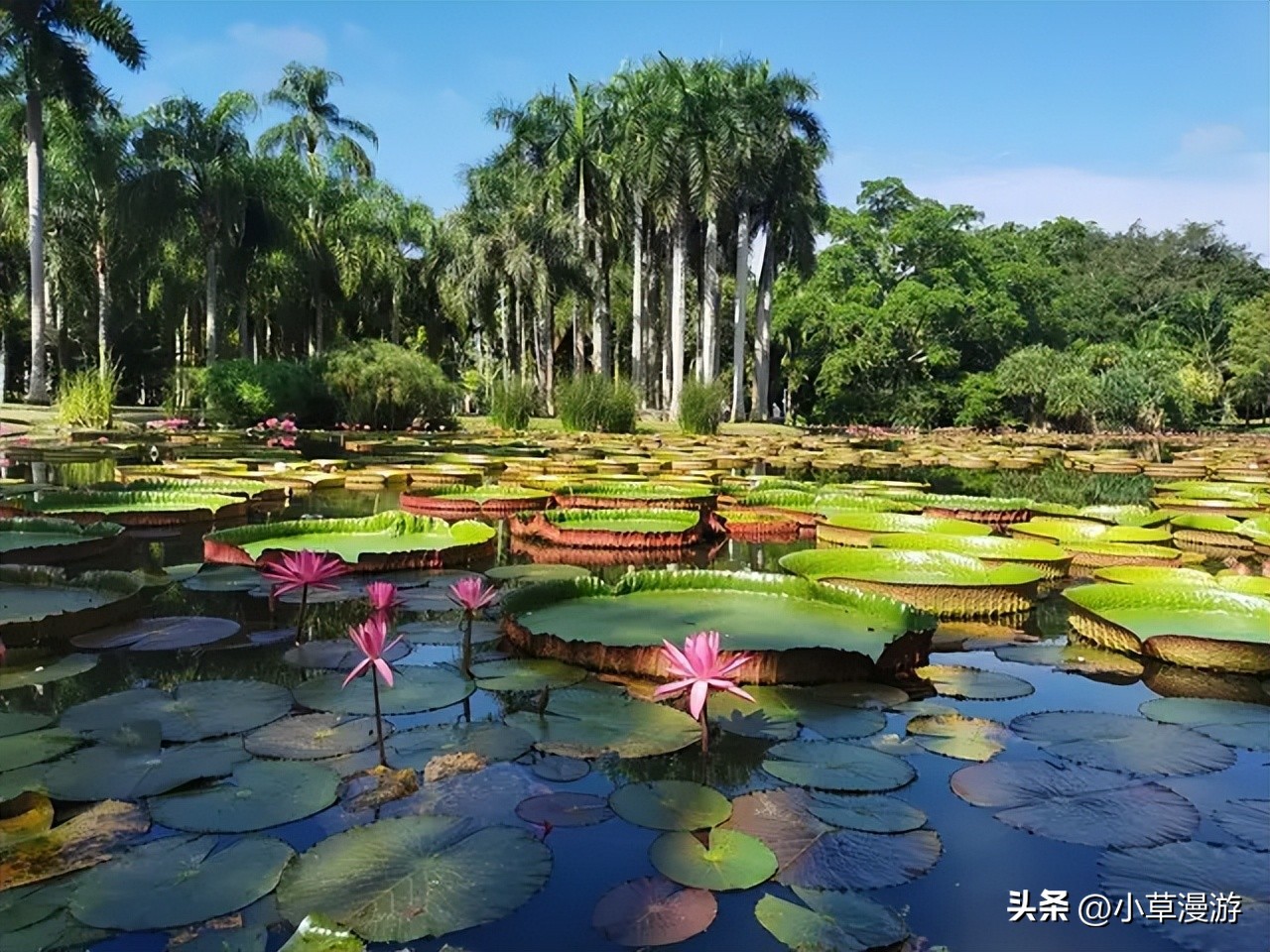 国内有哪些旅游胜地（国内好玩的旅游胜地）-第15张图片-昕阳网