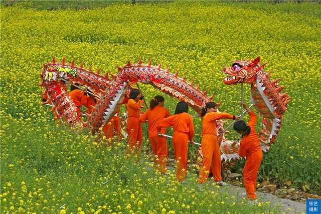 阳春三月，广东石门油菜花田乡村美，春天赏花拍照踏青好去处