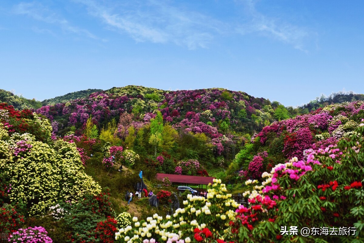 贵州旅游五大必去景点（贵州旅游五大必去景点是哪些）-第5张图片-科灵网