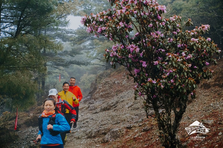 2022年“楚雄-大姚百草岭登山大会”（线上赛）启动仪式圆满成功