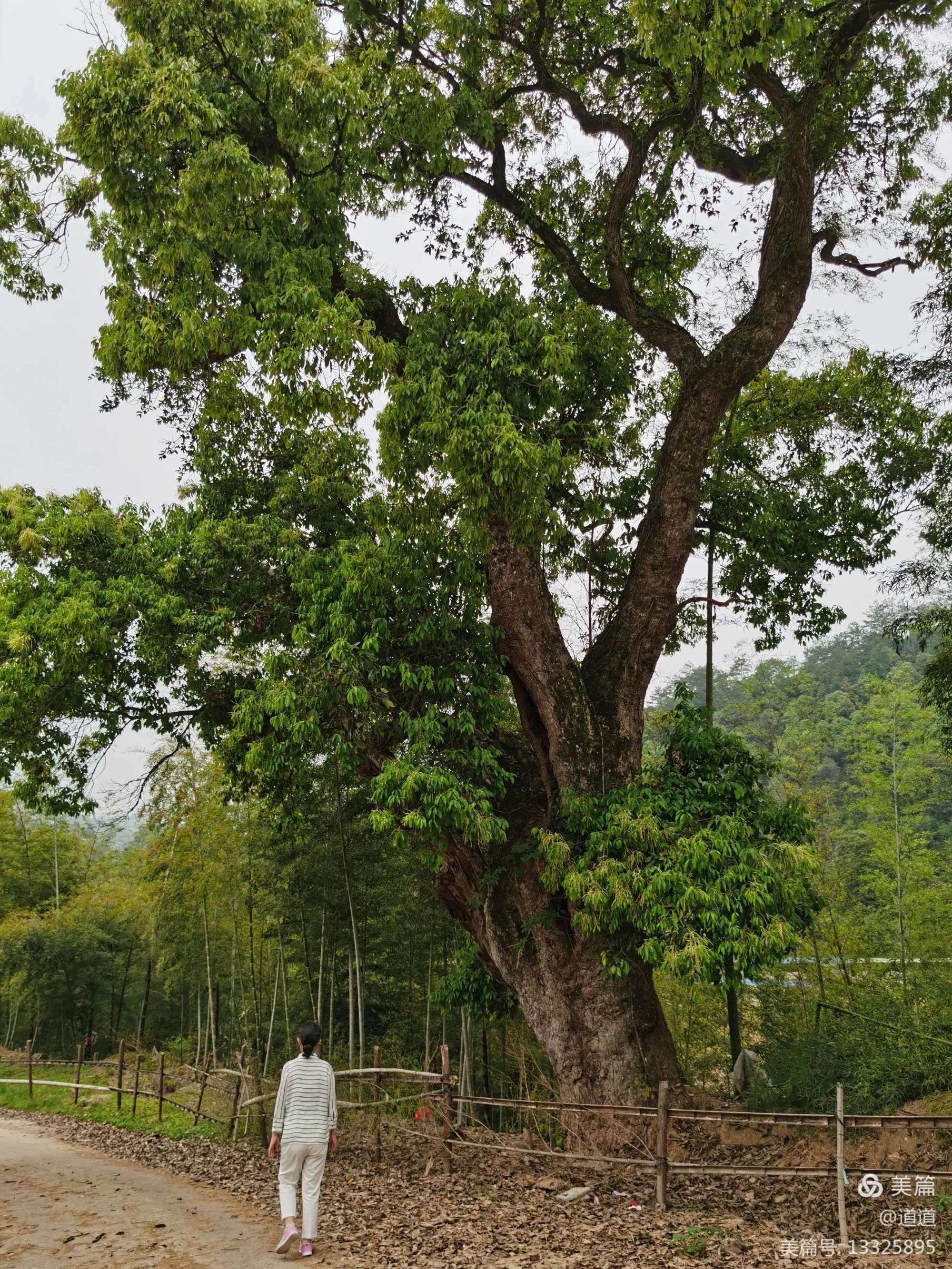 最美人间四月天，莫负踏青好时光