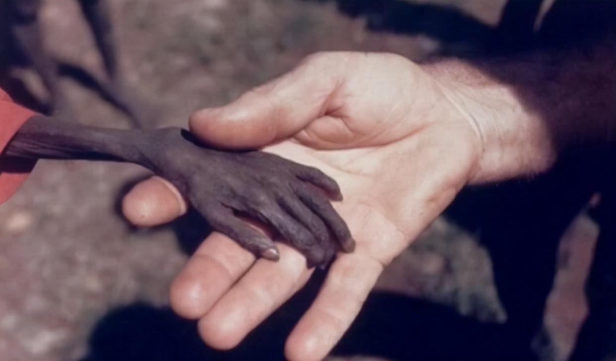 饥荒 非洲图片