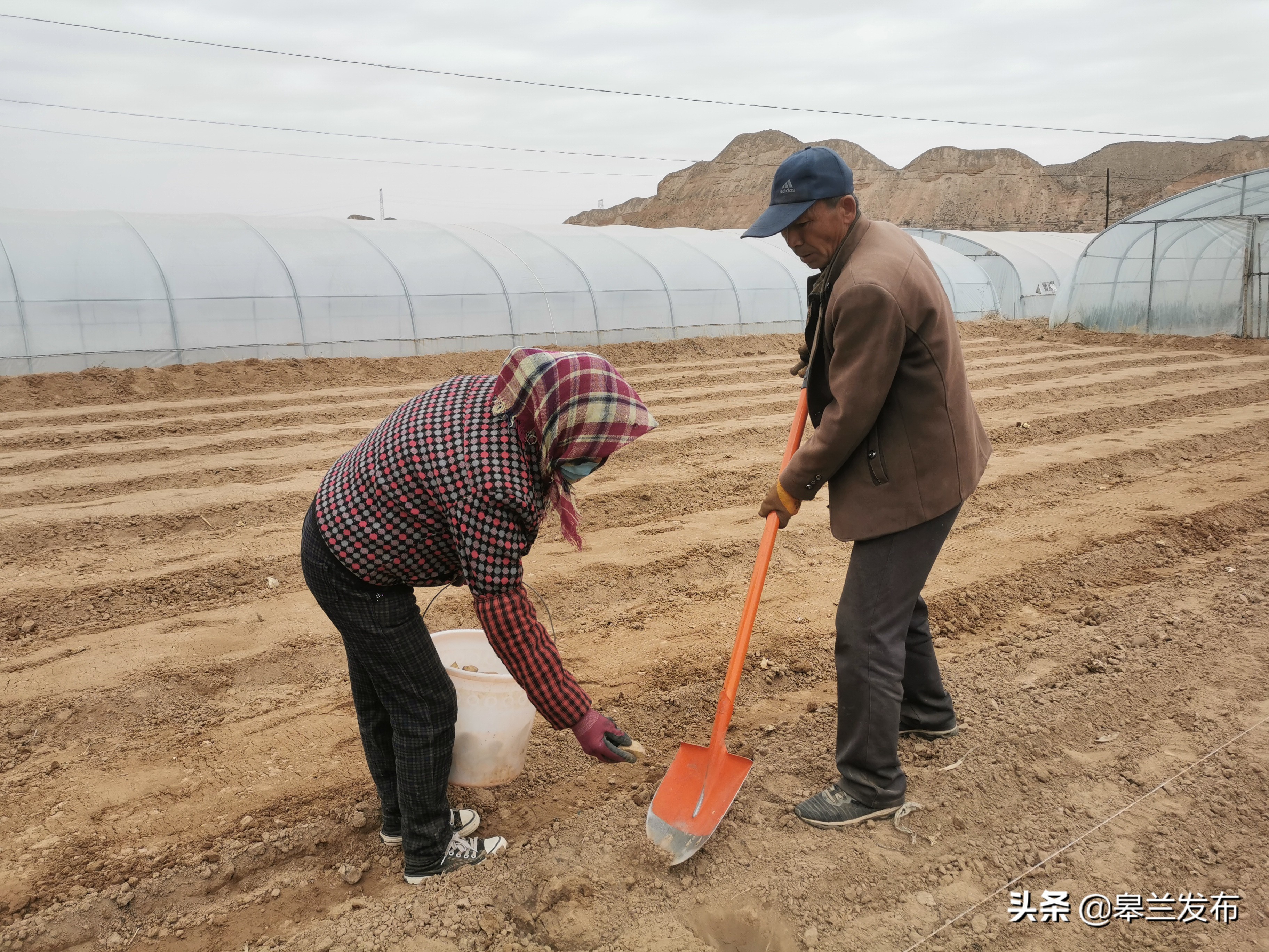 �����ؾź����ٴ�ץ�ô������� ��ʵ�ƽ�ũҵ����