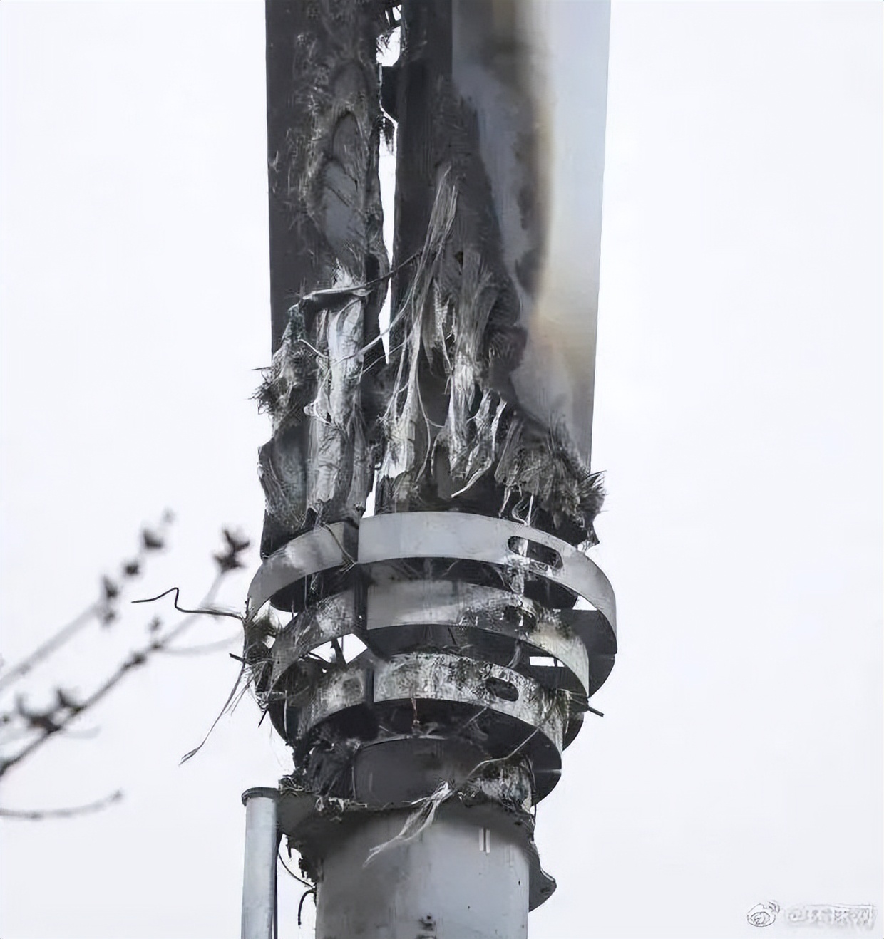 5G遭强拆、火烧、断电，路在何方？信号塔VS辐射，世界难题，待解