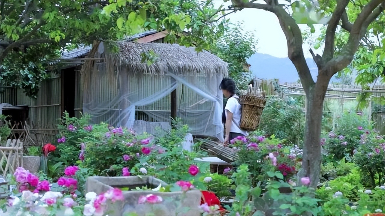 李子柒的庭院生活 远离喧嚣 栽种花果 目之所及 皆是风景 天天看点
