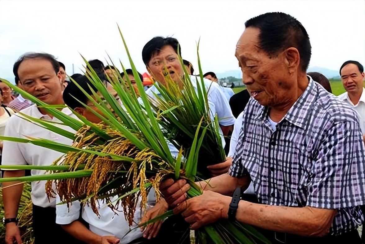 为何值8000万(老美为何宁愿赔钱.也要将粮食卖给我国.这是何居心？赔钱买卖也做)