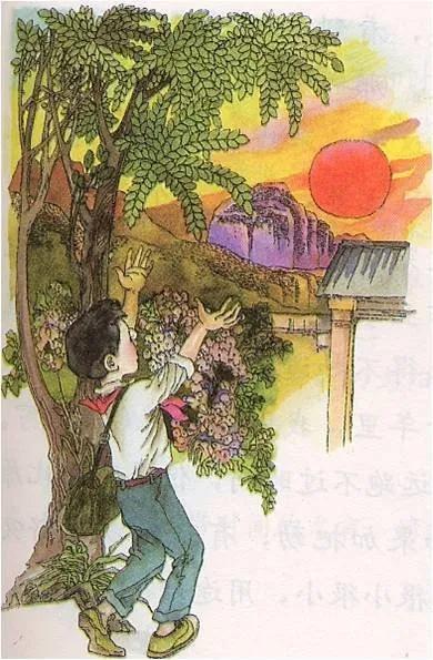 人教旧版小学语文三年级下册《与时间赛跑》