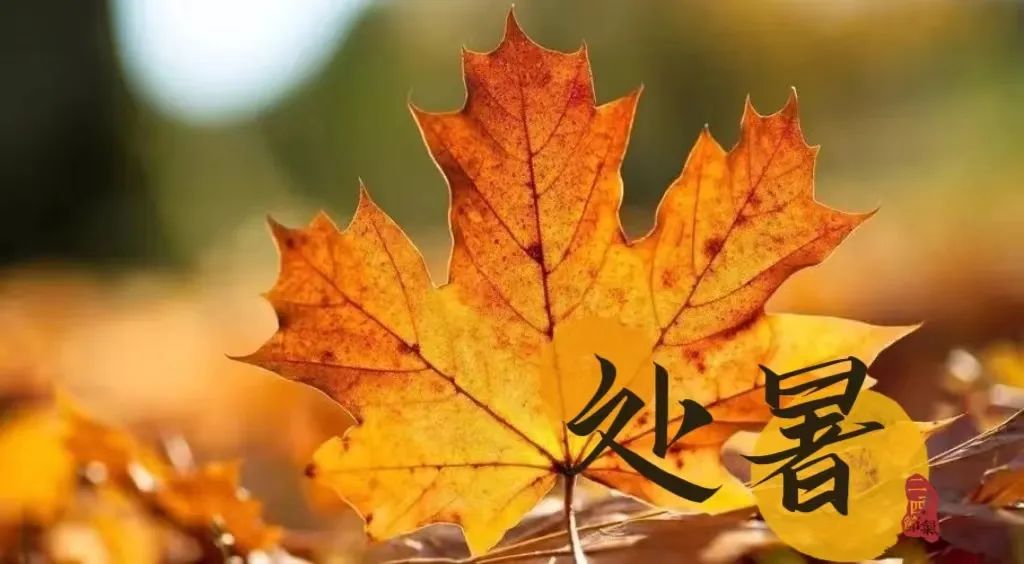 处暑后秋燥来袭,中医教您轻松应对