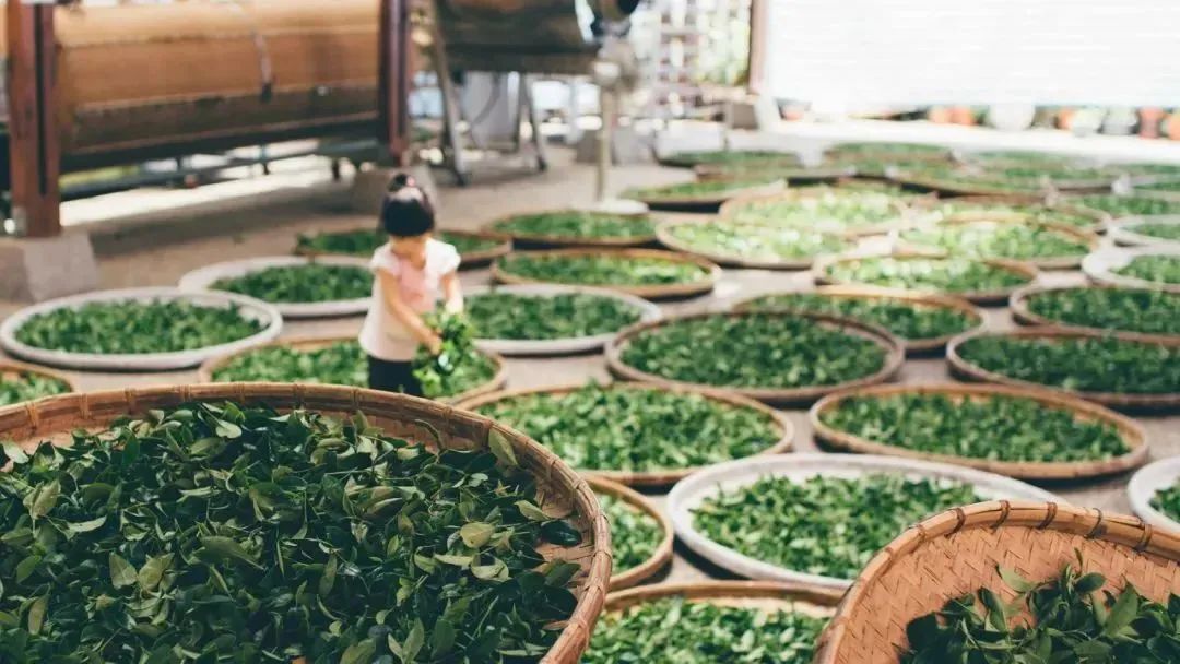 这些福建美食，让你越吃越瘦！