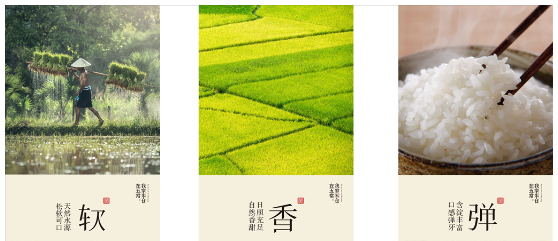 揭秘：餐桌上的 “五常大米”，真身究竟在哪？“稻花派对” 死磕溯源真相！~