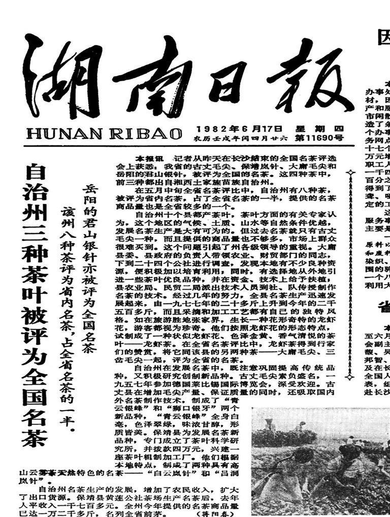 向世进丨保靖黄金茶一段不应湮灭的历史