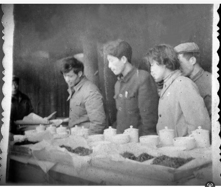向世进丨保靖黄金茶一段不应湮灭的历史