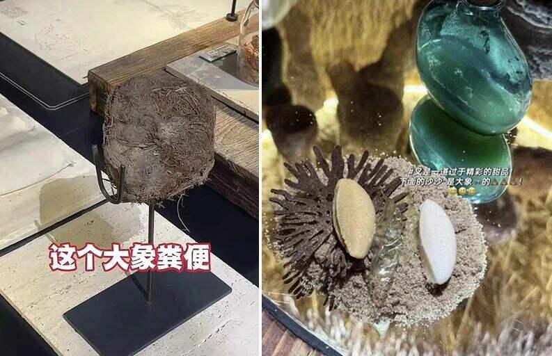 春城夜谭丨“3888元尝大象粪便”餐厅被调查，哗众取宠只能自食苦果