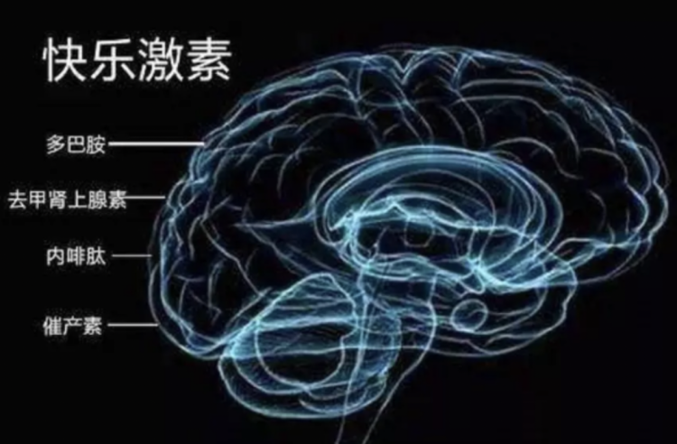 “悲秋”情绪从何而来?科学秋练是法宝,多运动有效改善“秋郁”