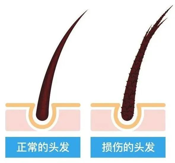 洗头自然干和吹干哪个好？大部分人都做错了！