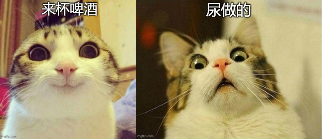 他们用污水和尿做啤酒，还有人把啤酒糟做成了小背包？