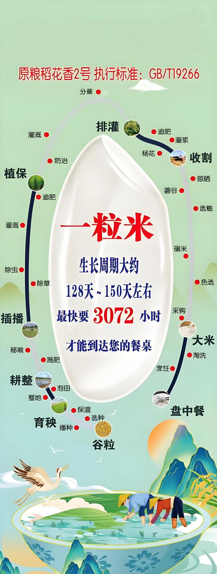 揭秘：餐桌上的 “五常大米”，真身究竟在哪？“稻花派对” 死磕溯源真相！~