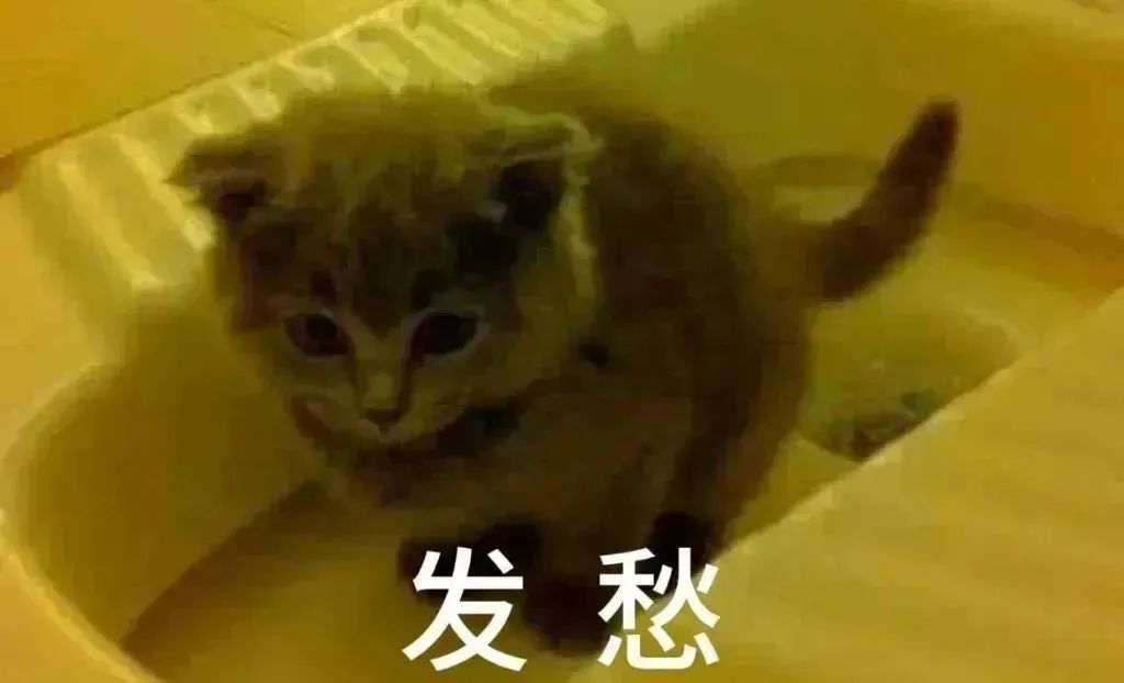 上公共厕所,你选蹲便还是坐便?哪种更干净?真相来了→