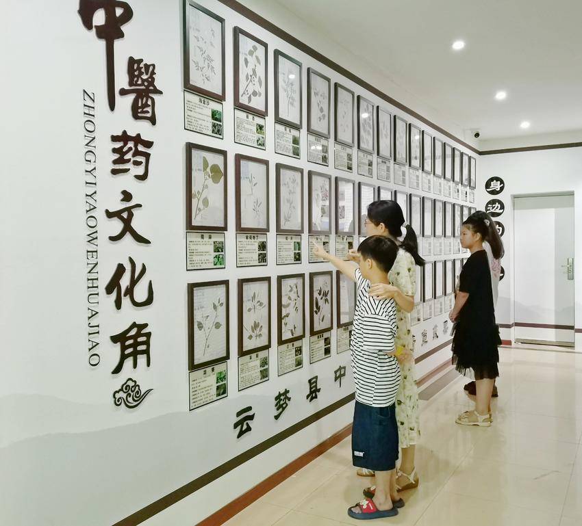 云梦:“身边的本草”带您走近中医药文化角!