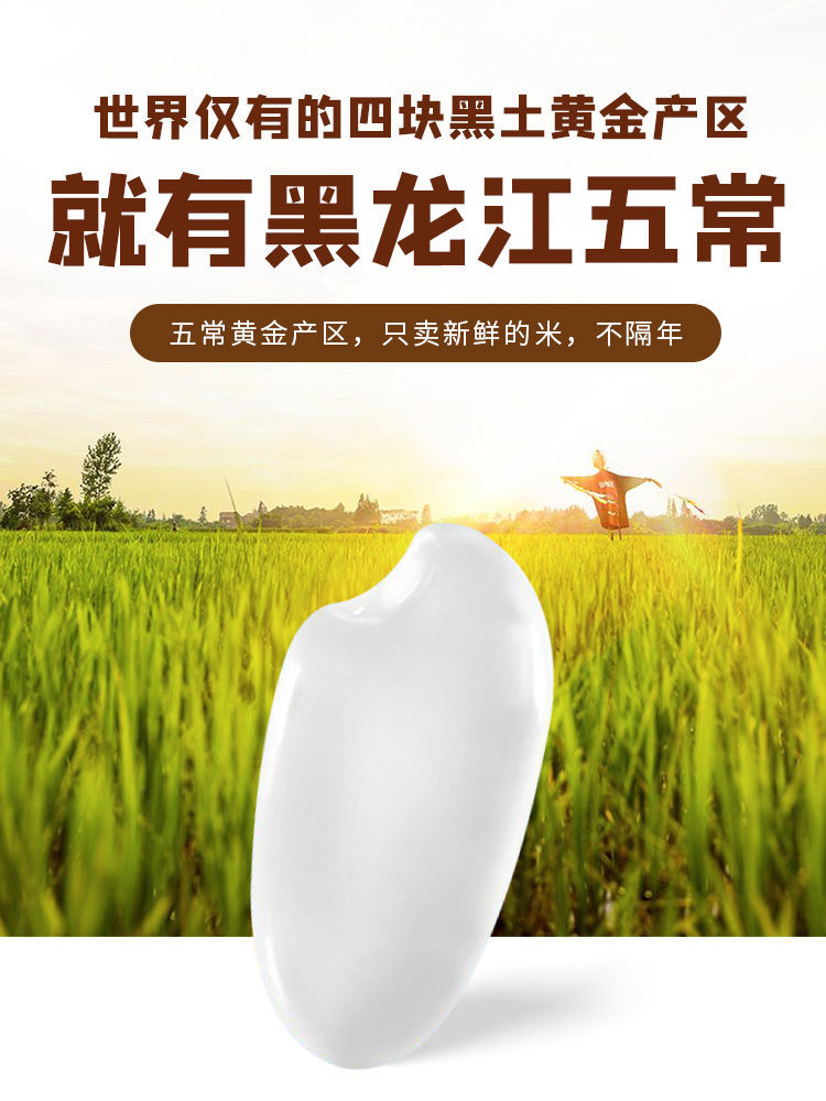 揭秘：餐桌上的 “五常大米”，真身究竟在哪？“稻花派对” 死磕溯源真相！~
