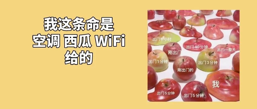 一吹空调就有怪味,甚至引发鼻炎?!怎么回事?