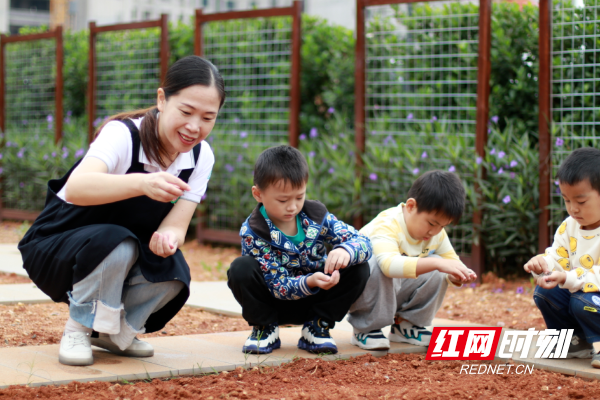 满“新”欢喜的相见 株洲市幼儿园(中海园)萌娃入园啦
