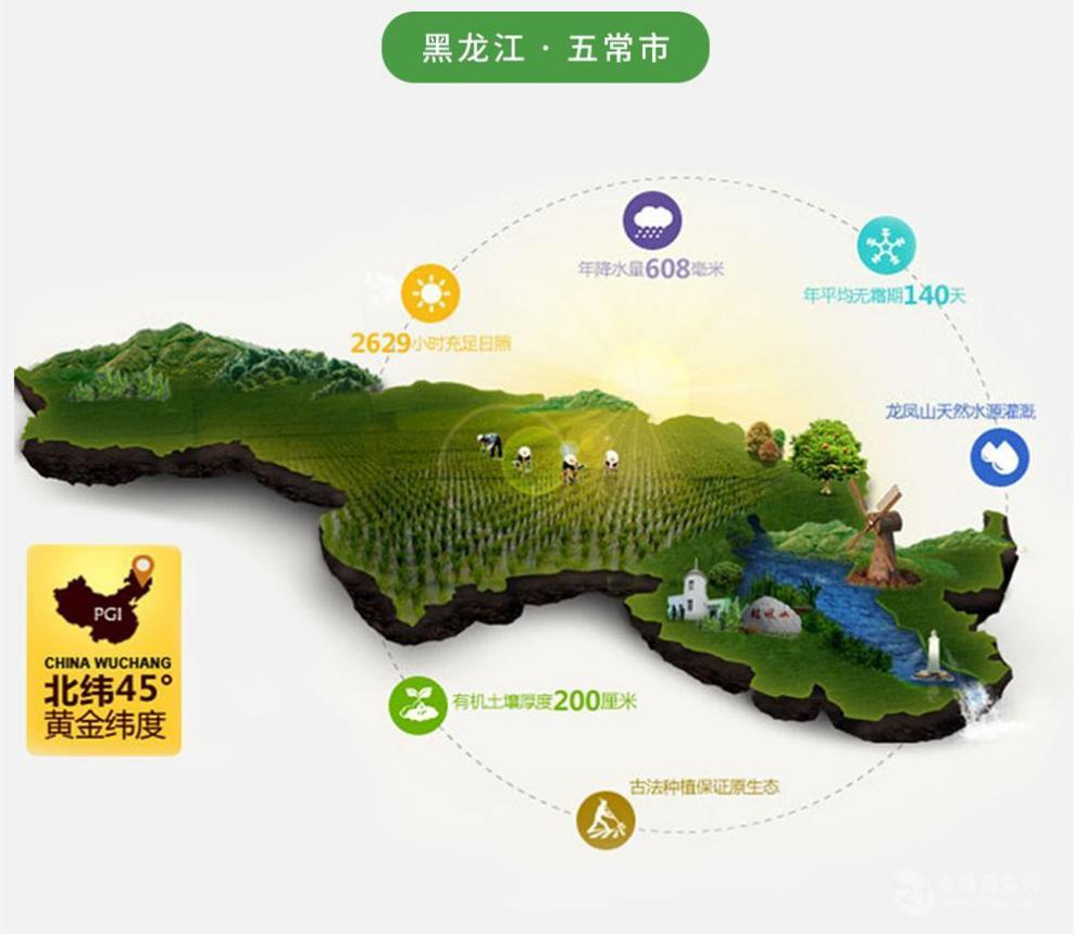 揭秘：餐桌上的 “五常大米”，真身究竟在哪？“稻花派对” 死磕溯源真相！~