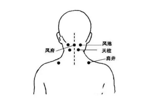 处暑后秋燥来袭,中医教您轻松应对