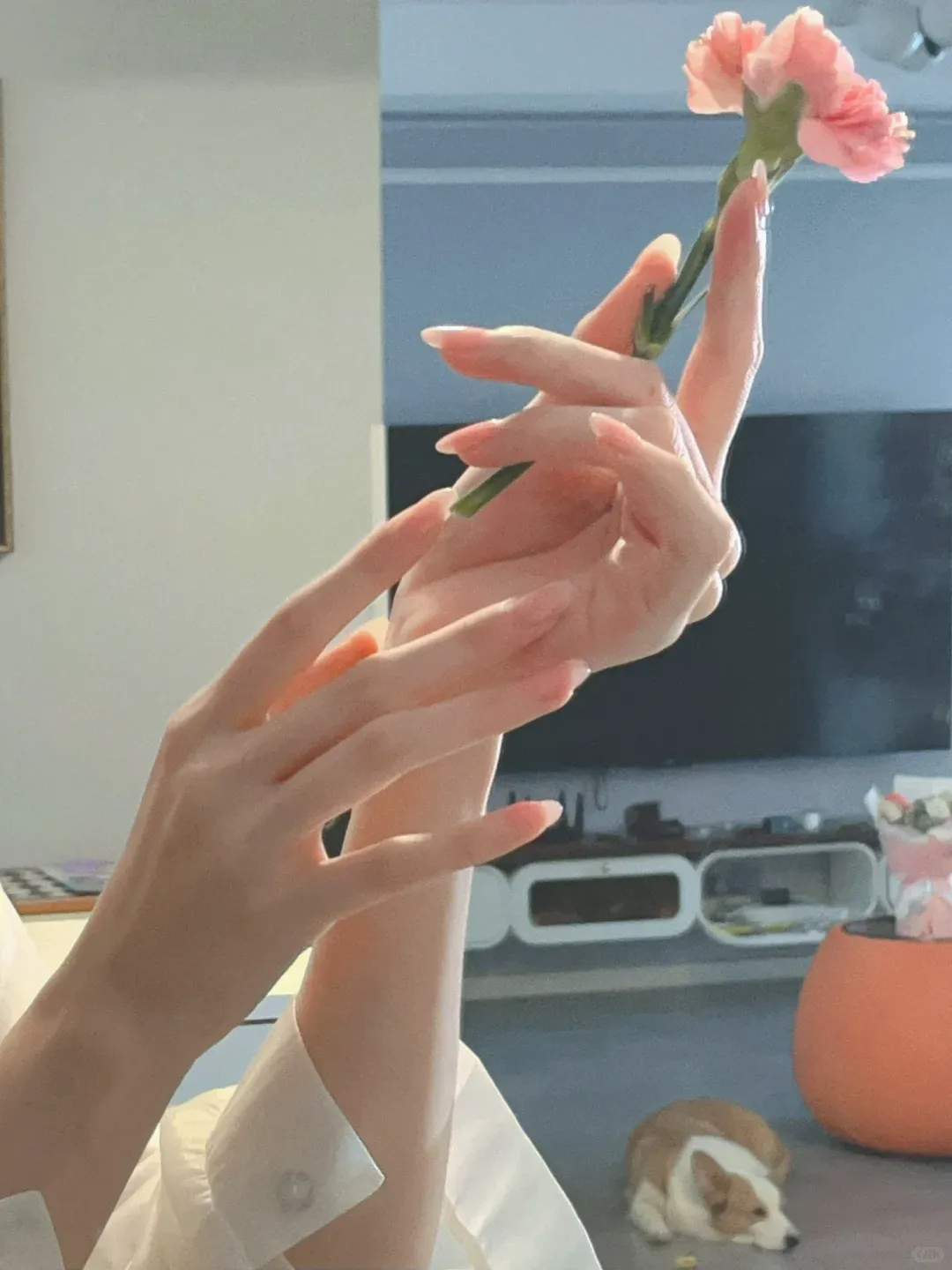 秋冬护手C位！栀诺护手霜，换季干燥 “一键舒缓”～