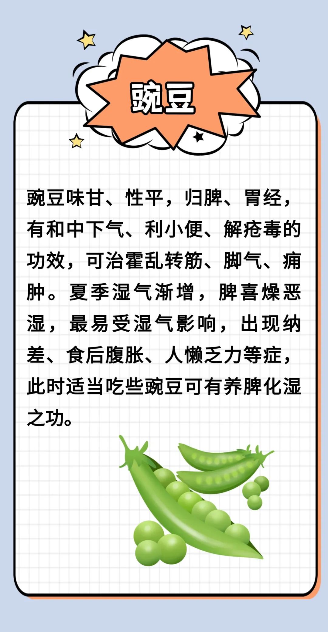 四月豆，胜过肉！一生津，二健脾，三益气，每吃一口都是赚到~