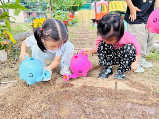 淄博淄川区实验幼儿园:向阳成长 探趣自然