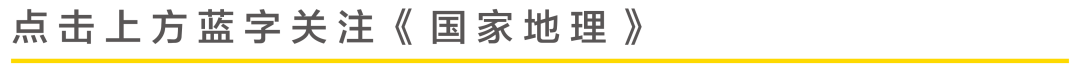 揭秘：餐桌上的 “五常大米”，真身究竟在哪？“稻花派对” 死磕溯源真相！~