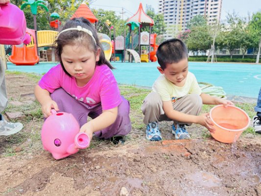 淄博淄川区实验幼儿园:向阳成长 探趣自然