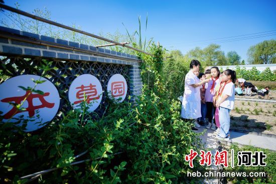 河北丰南:中医药文化进校园