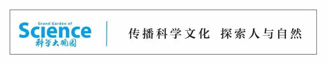 贾宗洋腿部22根钢钉让网友泪目！这些冬奥会比赛项目惊险超出想象