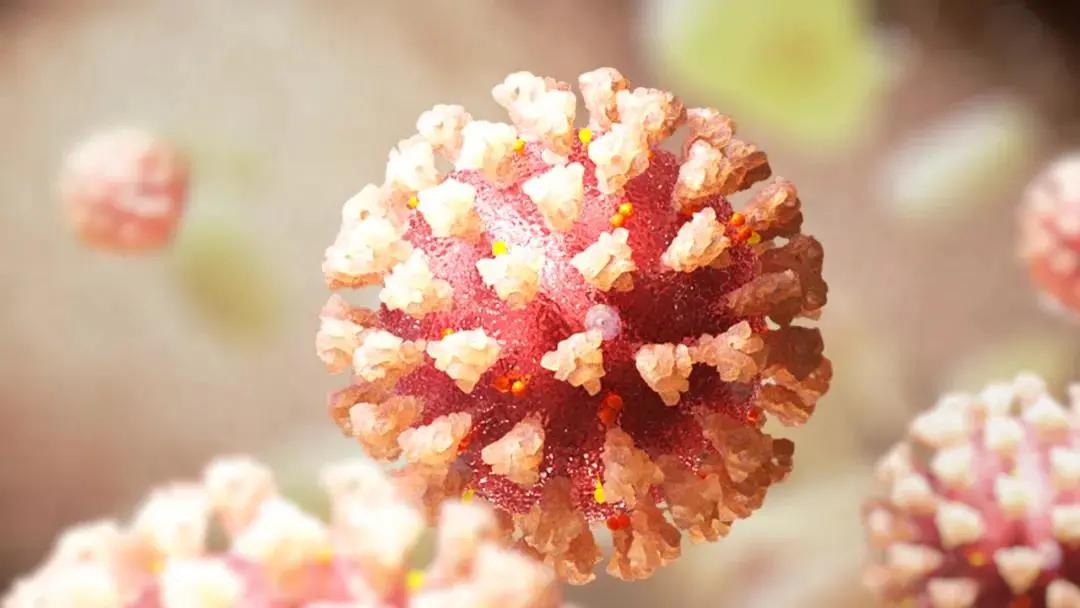 оCOVID-19֢֪Ӱ൱20Ĵ˥