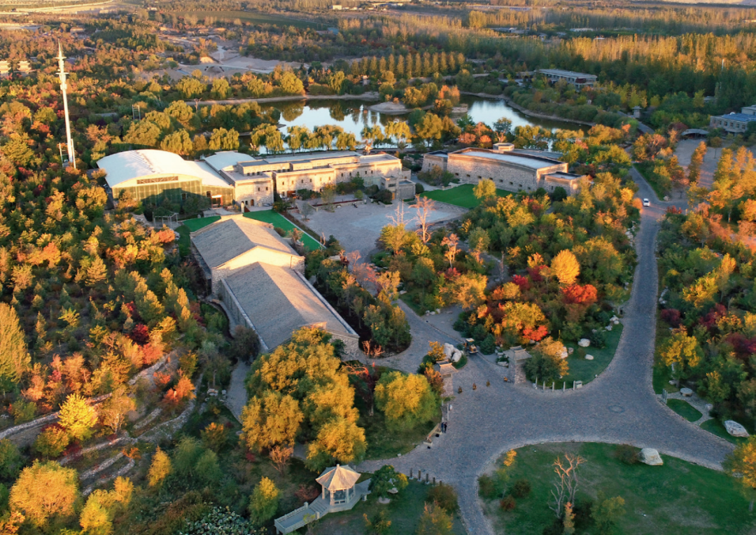 这里是宁夏——银川！