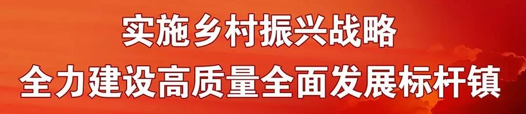 周末双休！丹灶这个园区招会计实习生，速投简历→