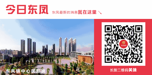 喜讯！东凤镇包揽中山市中学生法律知识竞赛前三名