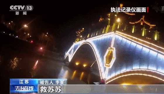 间接故意杀人罪,