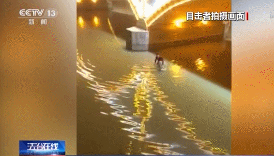 间接故意杀人罪,
